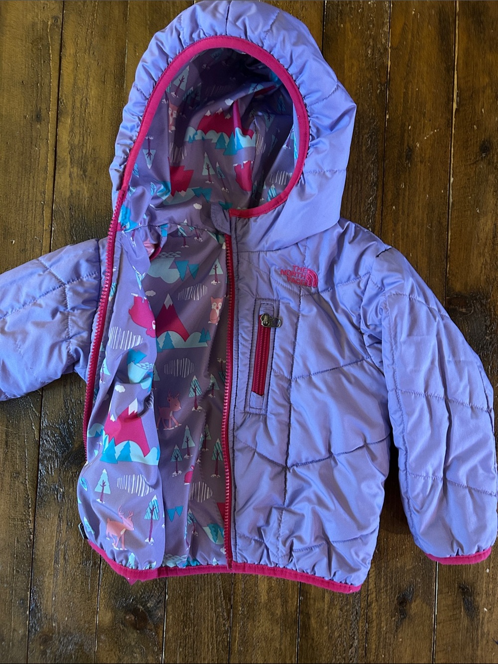 North face toddler reversible jacket